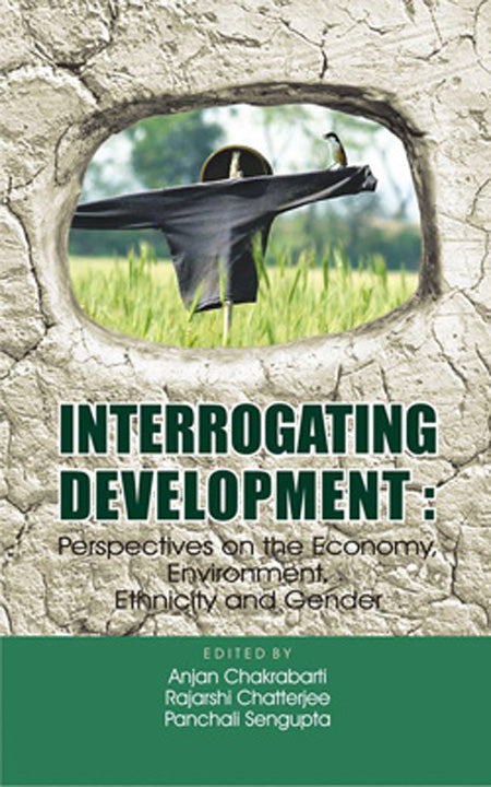 Interrogating Development : Perspectives on the Economy, Environment, Ethnicity and Gender